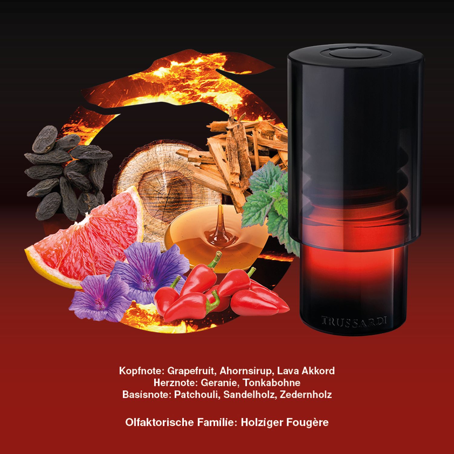 Sound of Donna Eau de Parfum
