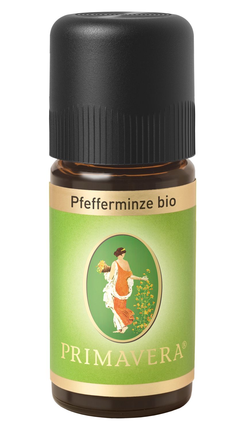 Pfefferminze bio