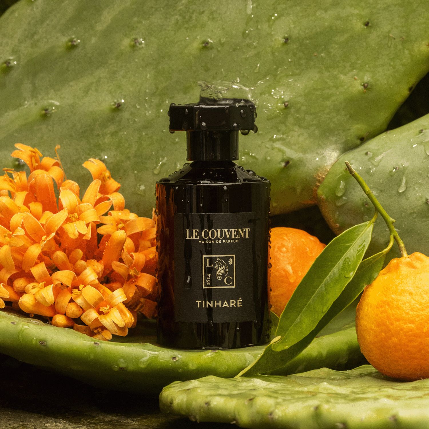 LES PARFUMS REMARQUABLES - TINHARE