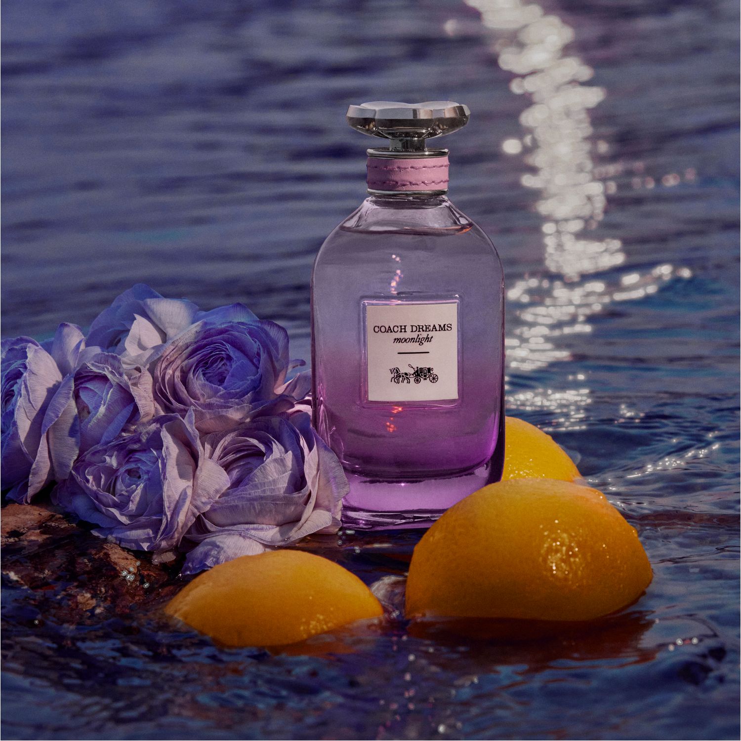 Dreams Moonlight Eau de Parfum
