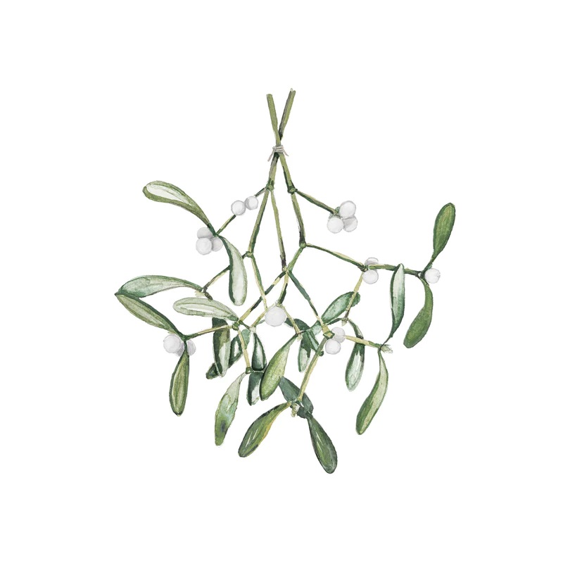 Postkarte Mistletoe