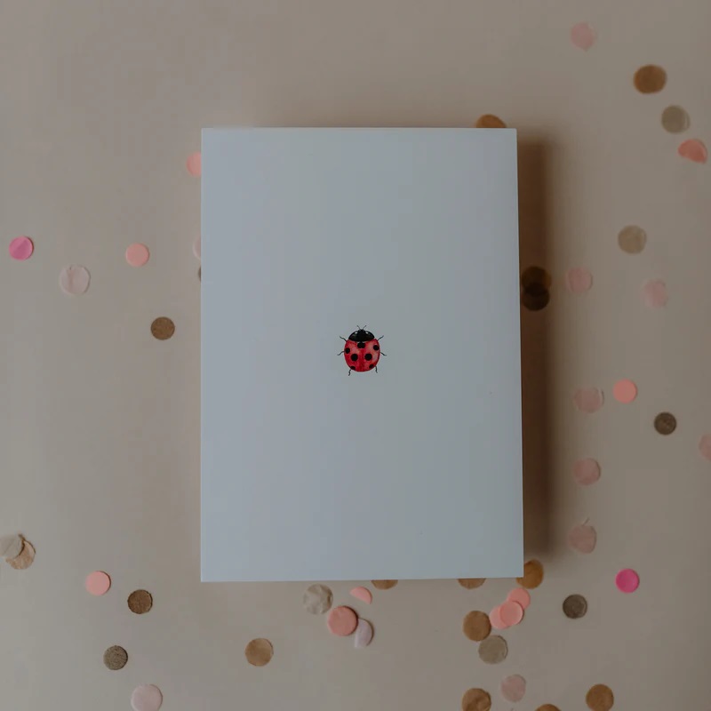 Aquarellkarte Ladybug