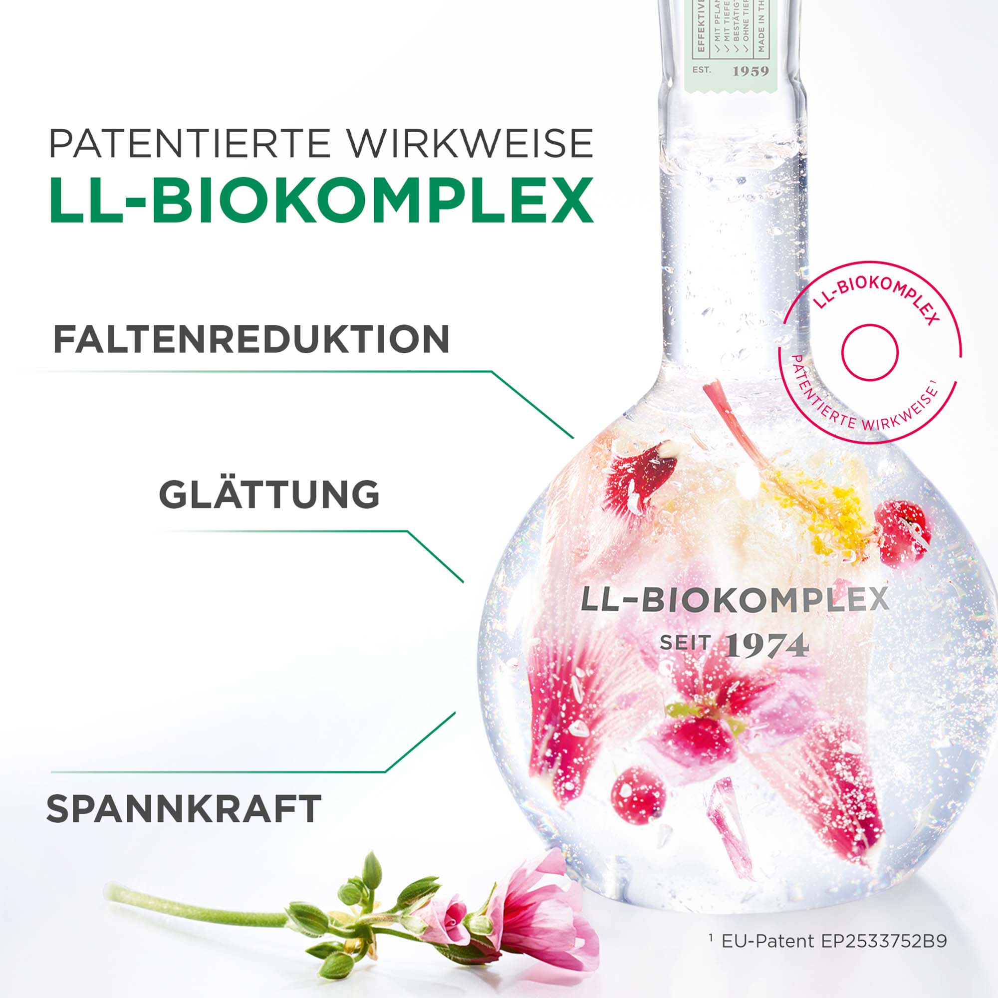 LL Regeneration Vitalisierende Nachtcreme