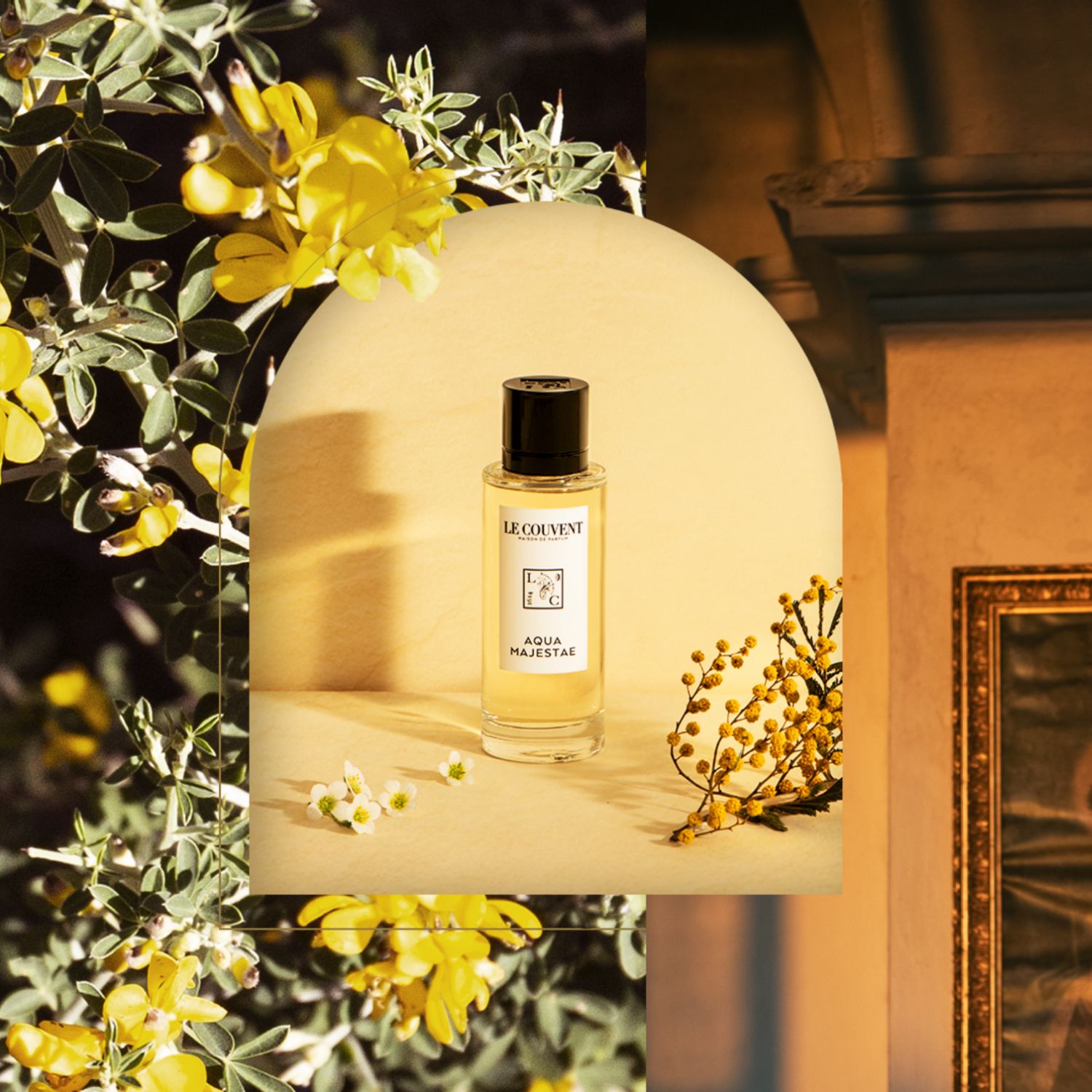 AQUA MAJESTAE EAU DE TOILETTE